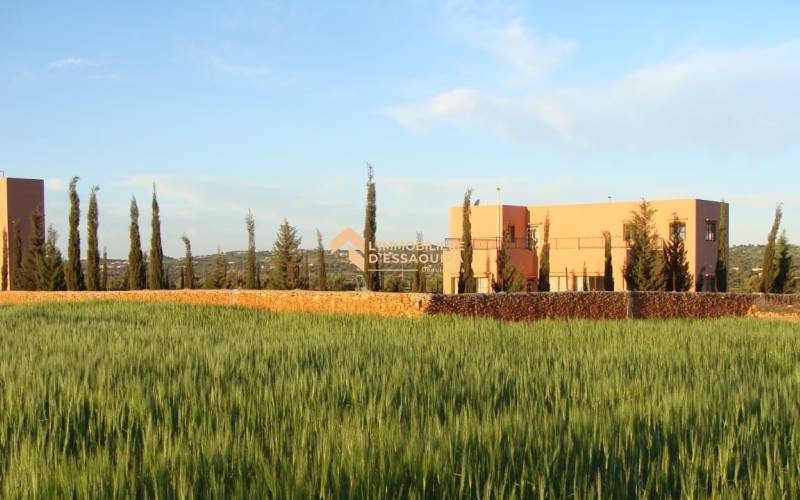 Maison Hamid Ounagha (10)